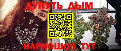 сатива Малоярославец
